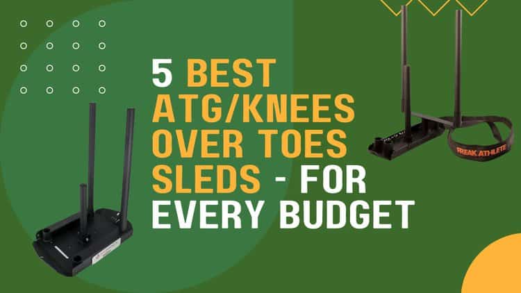 5 Best Knees Over Toes Weight Sled