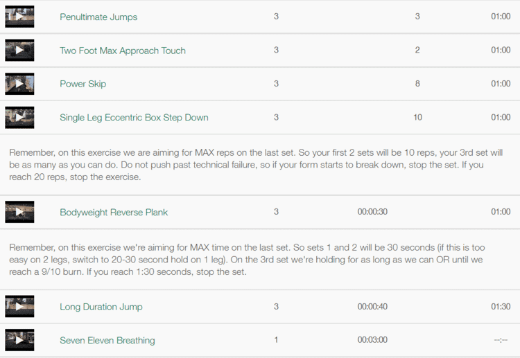 9 Best Vertical Jump Programs For 2023 (I Bought Them All!)