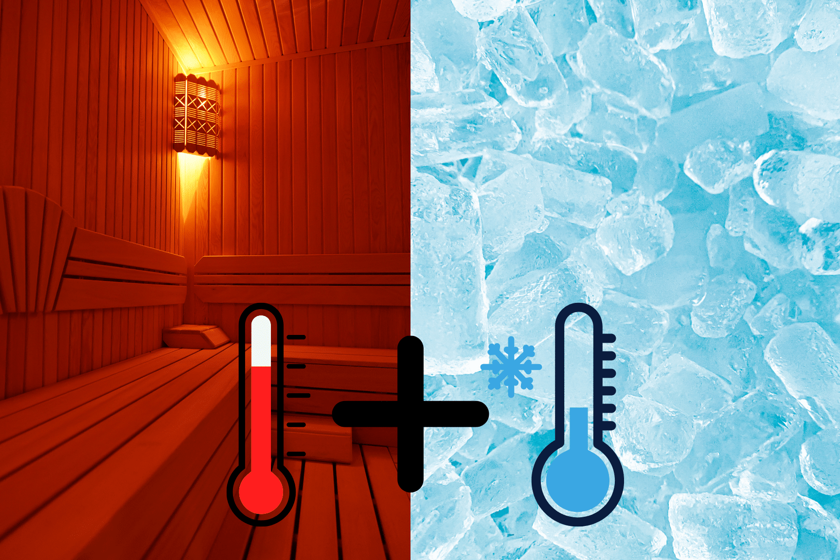 sauna and cold plunge